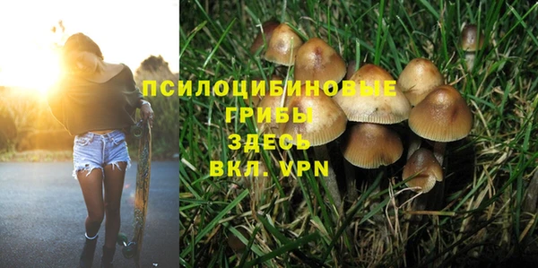 герыч Медногорск