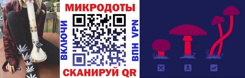цены наркотик  Киржач  MEGA ссылка  Галлюциногенные грибы Cubensis 