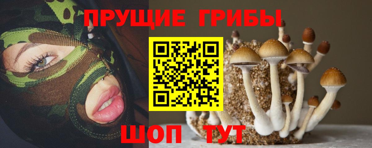 Галлюциногенные грибы GOLDEN TEACHER  Киржач 